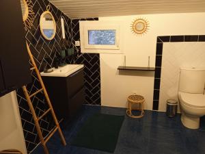 a small bathroom with a toilet and a sink at Gîte de La Planette in La Romieu