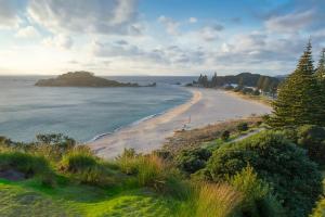a view of a beach with trees and the ocean at Miro St Guest House in Mount Maunganui