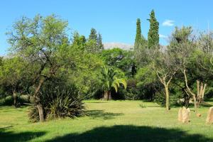 a field of grass with trees and animals in it at Apart Domus in San Javier