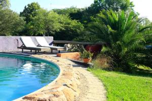 a swimming pool with two lounge chairs next to a yard at Apart Domus in San Javier