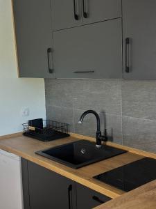 a kitchen with a sink and a counter top at Villa Vasilije in Šavnik +46 photos
