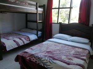 a bedroom with two bunk beds and a window at Hotel Cooptmotilon in Pamplona