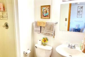 a bathroom with a sink and a toilet and a mirror at Near Yellowstone Park and Chico Hot Springs in Emigrant +17 photos