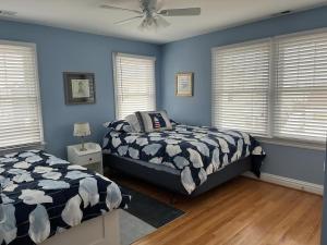 a bedroom with two beds and blue walls and windows at Bayside Gem in Beach Haven Crest