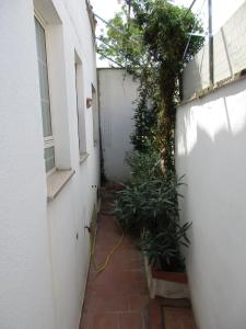 a small alley with plants on the side of a building at Casa Dario in Melissano