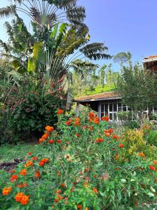 a garden with orange flowers in front of a house at Mass Bungalow in Tindummal