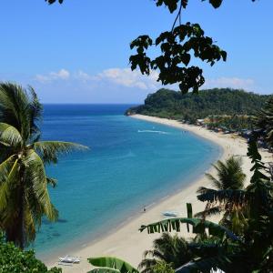a view of a beach with palm trees and the ocean at Residencia del Mundo - Hotel in Puerto Galera +25 photos