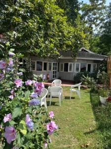 a yard with chairs and flowers in front of a house at The Nigeen Lodge in Srinagar +5 photos
