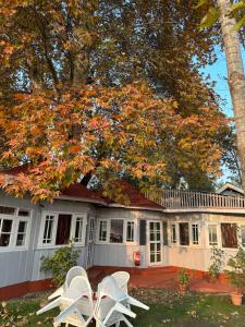 a house with two white chairs in front of it at The Nigeen Lodge in Srinagar