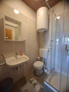 a bathroom with a toilet and a sink and a shower at Apartmani Tomić in Seline