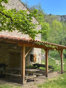 a cabin with a picnic table in front of it at Maison de Vignes de Tournemire in Tournemire