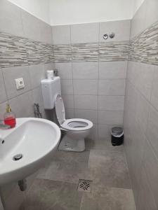 a bathroom with a white toilet and a sink at Cosy Corner in Tollo