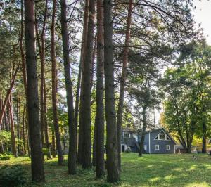 a house in the middle of a field with trees at The lake house in Mockava
