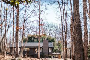 a small black house in the middle of a forest at Nelson Cozy Cabin in Nellysford