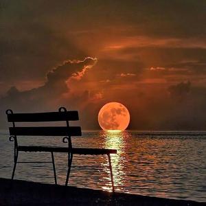 a bench in front of the ocean with a full moon at Moon Light Guest House in Tissamaharama