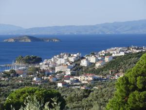 a town on a hill next to the water at Villas Zoe in Skiathos