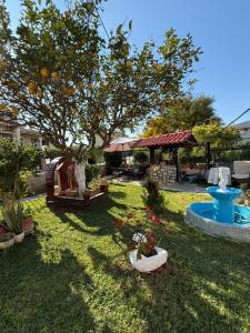 a garden with an orange tree in the grass at Lemon tree apartment in Kyllini