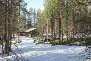 a log cabin in the snow in a forest at River cabin Tapio in Inari