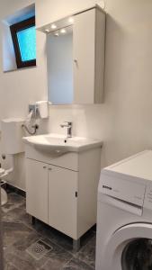 a bathroom with a sink and a washing machine at Holiday house Bliss in Kumrovec +30 photos