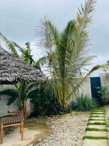 a house with a palm tree and a bench at Malaika white house in Kiwengwa