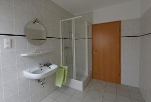 a bathroom with a sink and a shower at Lindenhof Helmke in Schellerten