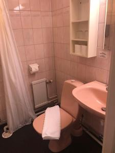 a small bathroom with a toilet and a sink at Värdshuset Hwitan in Falkenberg +41 photos