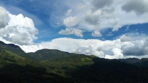 a view of auliculiculiculiculiculiculiculiculiculiculiculic at Trekker's Lodge in Matale