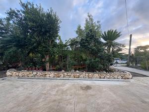 a garden with trees and rocks in a park at Paea's Guest House in Nuku‘alofa