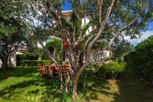 a tree in a yard next to a house at Hostel Oktarin in Kaštela