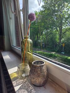 two vases sitting on a window sill with a flower at Fuchs & Hase in Uplengen