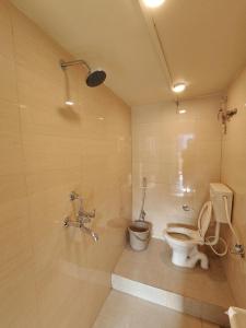 a bathroom with a toilet and a sink at Shristays in Varanasi