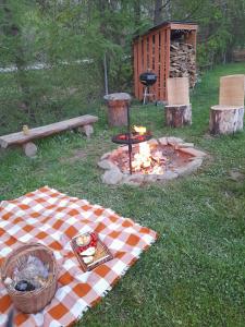 a picnic table with a fire in the grass at Przystanek Bereżnica in Bereżnica Wyżna