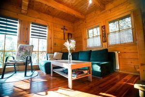a living room with a green couch and a table at Leśna Oaza in Sierpc +27 photos
