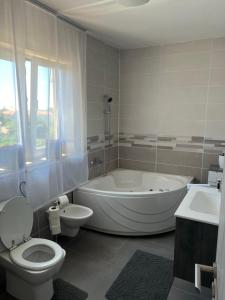 a bathroom with a tub and a toilet and a sink at Apartman Ariana in Ližnjan +11 photos