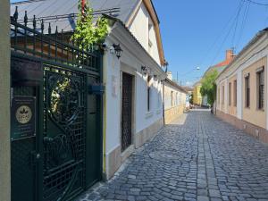 an alley with a green gate and a cobblestone street at Lucas 10 Apartments in Cluj-Napoca