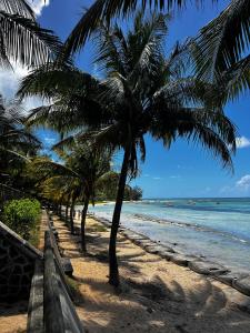 a row of palm trees on the beach at Little Palm Penthouse in Cap Malheureux