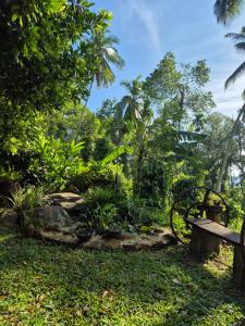 a bench in a garden with trees and bushes at Sampath State in Koslanda