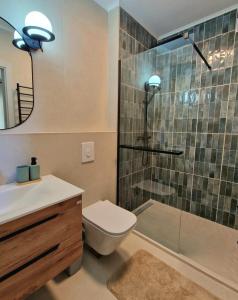 a bathroom with a shower and a toilet and a sink at Villa AdriaBelle in Tivat +5 photos