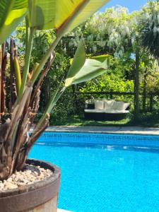 a pool with a tub and a plant next to it at The Cowshed Port Lympne in Hythe