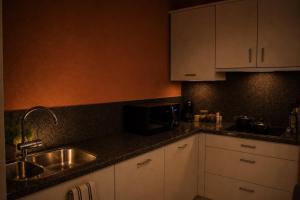a kitchen with a sink and a microwave at Hoeve Verdre - De Knechtenwoning in Heers +22 photos