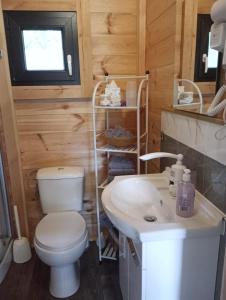 a bathroom with a toilet and a sink at Letniak pod Dębami in Grabina