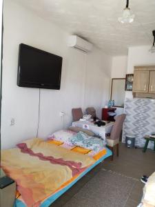 a room with a bed and a flat screen tv on the wall at Ogi in Straševina