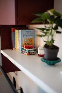 a shelf with books and a potted plant on it at Brisa Home Beach in Mazzeo