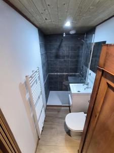 a bathroom with a toilet and a sink at Cozy studio in a mountain village in Villar-dʼArène