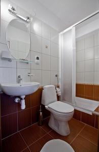y baño con aseo, lavabo y espejo. en OW Jaskółka, en Zakopane