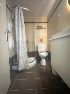 a small bathroom with a toilet and a shower at Angeligue Studio with Balcony in Ipsos +9 photos