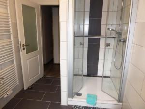 a shower with a glass door in a bathroom at Philippsburg in Monreal