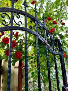 a black iron gate with red roses on it at Casuta Irinei in Gura Vadului +2 photos