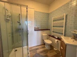 a bathroom with a shower and a toilet and a sink at B&B Les Soigneurs in Grandmenil +66 photos