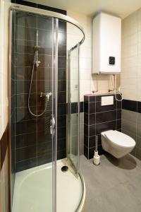 ein Bad mit einer Dusche und einem WC in der Unterkunft Penzion Dyje in Hevlín